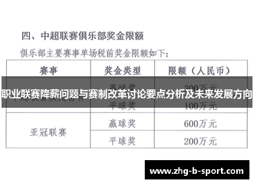 职业联赛降薪问题与赛制改革讨论要点分析及未来发展方向